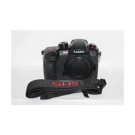 パナソニック ミラーレス一眼カメラ ルミックス GH5S ボディ ブラック DC-GH5S-K