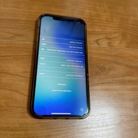 Apple iPhone 12 Pro 256GB GD 本体