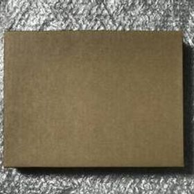 新品、未開封 M4搭載 16Gメモリ 国内版SIMフリー iPad Pro 11インチ 第5世代 Wi-Fi+Cellular 2TB シルバー MVW83J/A AppleCare+加入可能