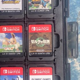 ゼルダの伝説 ティアーズオブザキングダム Switch カセット