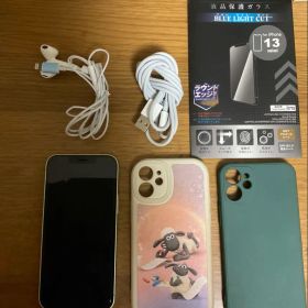 Apple iPhone 12 mini ミントグリーン 本体と付属品