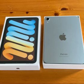 iPad mini 第7世代 128GB ブルー ジャンク 液晶不良 外部出力可