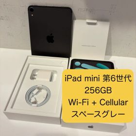 iPad mini 6 Wi-Fi + Cellular 256GB（グレー）