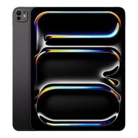 iPad Pro 13インチ M5[256GB] Wi-Fiモデル スペースブラック【…