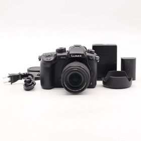 Panasonic LUMIX DC-GH5M 標準ズーム #1051(ミラーレス一眼)