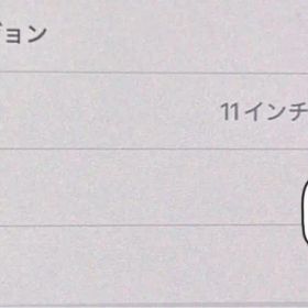 11インチ iPad Pro (M4) 本体のみ