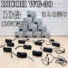 RICOH WG-30 大量10台セット まとめ売りデジカメ 動作OK 防水防塵