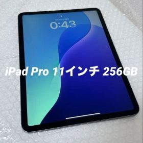 iPad Pro 11インチ 初代 256GB Wi-Fi + Cellular