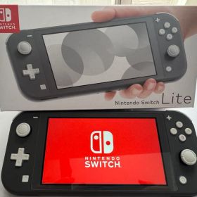 【美品】Switch Lite グレー 箱・充電器・カバー付