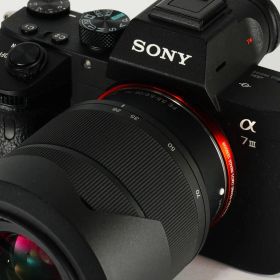 【完全セット】α7III 美品！3,459回/20万 すぐ撮影可能 434