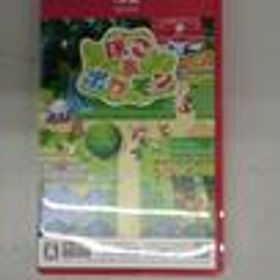 SWITCH2 ソフト ぽこ あ ポケモン ポケモン
