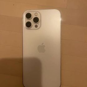 香港版 SIMフリー iPhone 12 Pro Max 256GB