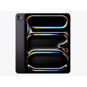 新品未開封 Apple iPad Pro 11インチ Wi-Fi 256GB MDWK4J/A スペースブラック2025年モデル 4549995616606