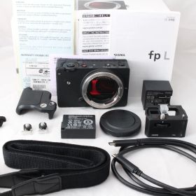 ☆新品級☆ SIGMA シグマ fp L ミラーレス一眼 デジタルカメラ #4892
