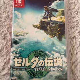 ゼルダの伝説 ティアーズ オブ ザ キングダム