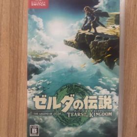 ゼルダの伝説 ティアーズ オブ ザ キングダム