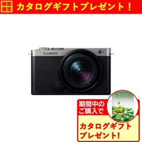 【期間限定ギフトプレゼント】パナソニック DC-S9N-S S9 広角ズームレンズキット ミラーレス一眼カメラ LUMIX ダークシルバー