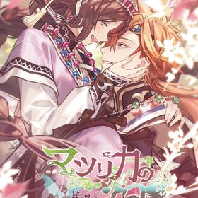 【パッケージ版】【新品】 マツリカの炯-kEi- 天命華燭伝 Nintendo Switch 佐賀