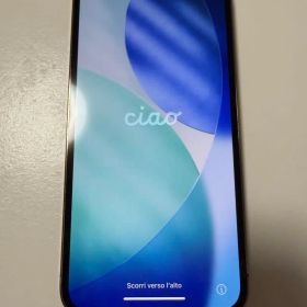 Apple iPhone 12 Pro 本体 ゴールド 256G SIMフリー