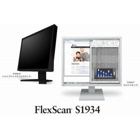 EIZO 48cm(19.0)型カラー液晶モニター FlexScan S1934-H セレーングレイ S1934-HGY 代引不可