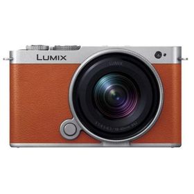 パナソニック LUMIX DC-S9N-D 【即日発送】 デジタルカメラ 広角ズームレンズキット ミラーレス一眼カメラ デジカメ カメラ