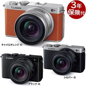 Panasonic LUMIX S9 ミラーレス一眼小型広角ズームレンズキット DC-S9N『受注後発注・受注後納期確認』ルミックス S9 Body + 18-40mm広角標準ズームレンズセット