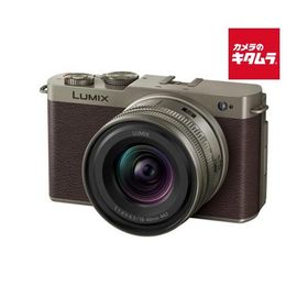 パナソニック LUMIX DC-S9N-N ZLK 広角ズームレンズキット チタンゴールド ルミックス ミラーレス一眼カメラ フルサイズ 高画素 《納期約３−４週間》