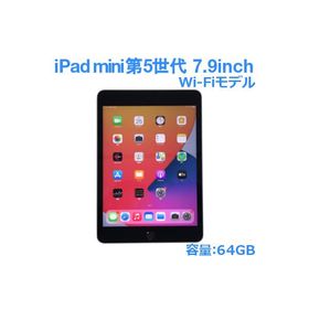 Apple iPad mini 第5世代 中古 64GB A2133 MUQW2J/A 7.9インチ スペースグレイ WiFi 動作確認済 ちょいキズ