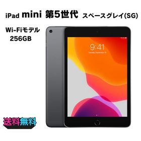 iPad mini (第5世代) Wi-Fi 256GB スペースグレイ【動作確認・初期化済み】