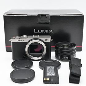 Panasonic LUMIX S9 広角ズームレンズキット DC-S9N-S ダークシルバー 極上品