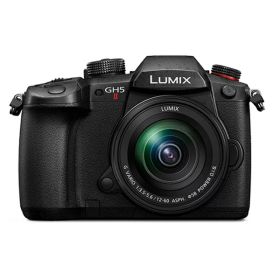 【最大2500円OFFクーポン配布中!5月29日10時まで】パナソニック ミラーレス一眼カメラ ルミックス LUMIX Gシリーズ DC-GH5M2M 標準ズームレンズキット ブラック【送料無料】【KK9N0D18P】