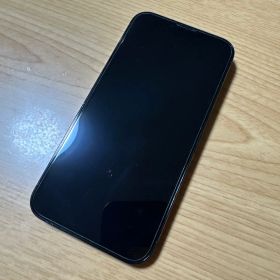 Apple iPhone 13 Pro 256GB 本体