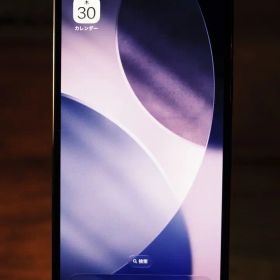 Apple iPhone 13 Pro グラファイト 256GB SIMフリー