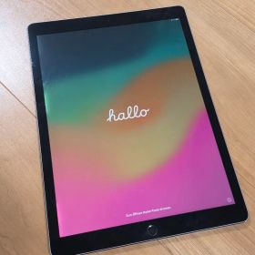 Apple 12.9インチiPad Pro（第2世代） 型番: A1670