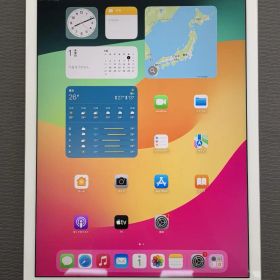美品 iPad Pro 12.9 第2世代 256GB SIMフリー A1671