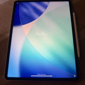 iPadPro 12.9インチ第5世代128GBWi-Fi + Cellular