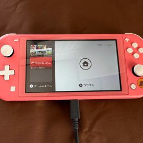 Nintendo Switch Lite どうぶつの森 ピンク しずえ アロハ柄