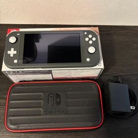 Nintendo Switch Lite グレー本体 充電器付 専用ケース 中古