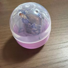 IKEZAKI RIHITO カプセルトイ ストラップ付き
