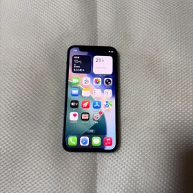 ⭐︎SIMフリー iPhone12mini 128GB ブルー 91%