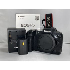 キヤノン(Canon)の【約3.7万ショット‼︎】Canon EOS R5 ボディ 本体(ミラーレス一眼)