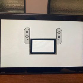 Nintendo Switch 本体のみ