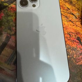Apple iPhone 13 Pro Max 256GB
