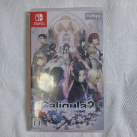 Switchソフト カリギュラ2 動作確認済み