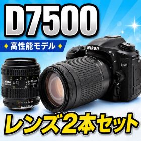 【ショット数4942枚】Nikon D7500 レンズ2本セット 高性能
