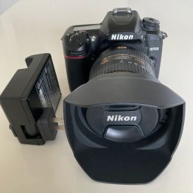 美品Nikon D7500 16-80mm 2.8-4(7,125回シャッター)
