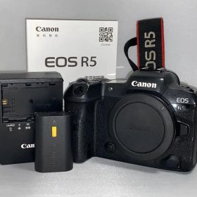 【約3.7万ショット‼︎】Canon EOS R5 ボディ 本体