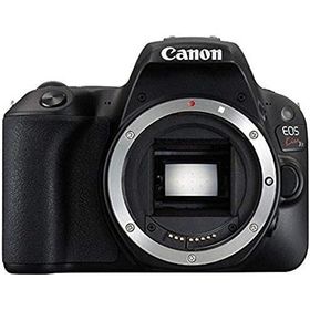 Canon EOS Kiss X9 ブラック ボディ 良品 動作確認済み 1ヶ月保証付 初心者向け