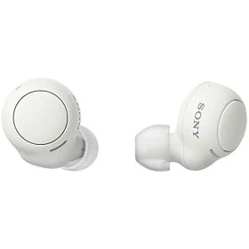 ソニー 完全ワイヤレスイヤホン WF-C500 : /軽量小型5.4g/高精度通話品質/簡単ペアリング/IPX4防滴性能/ホワイト WF-C50