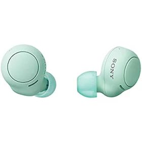 【中古-非常に良い】 ソニー ワイヤレスイヤホン WF-C500 完全ワイヤレス 軽量小型5.4g 装着性快適 Bluetooth 選べる4色カラバリ 最大10時間連続再生 高精度通話品
